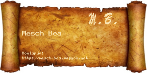 Mesch Bea névjegykártya